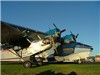 2946catalina_cub.jpg